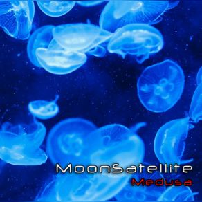 Download track 13 January 2019 (Live Session) MoonSatellite