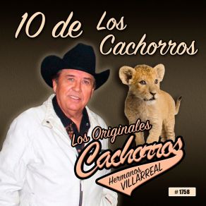 Download track Abrigo De Madre Los Originales Cachorros Hermanos Villareal