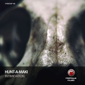 Download track Pithole (Original Mix) HUNT-A-MAKI