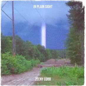 Download track Preacher John Zeeny Cobb