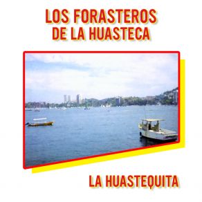 Download track Forro De Pedrito (Remasterizado 2024) Los Forasteros De La Huasteca