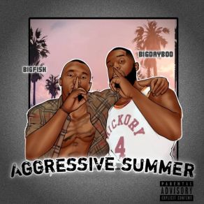 Download track Aggressive Summers BIGDAYBOO