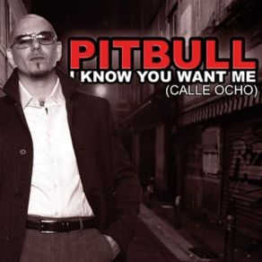 Download track I Know You Want Me (Calle Ocho) (Spanish Bridge Version) Pitbull