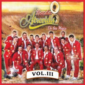 Download track La Bolita Banda Atrevida De Los Mejia