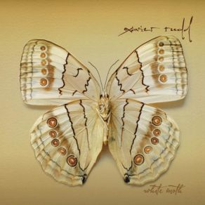 Download track Set It Up Xavier Rudd