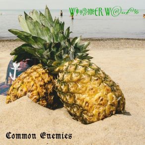 Download track The Best Of My Baby Got Back Common Enemies