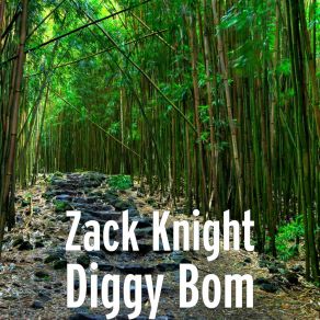 Download track Diggy Bom Zack Knight