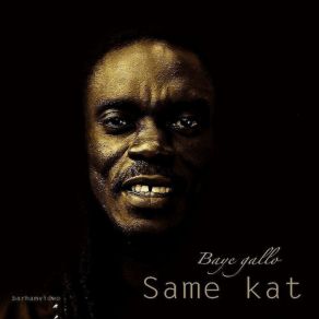 Download track Same Kat Baye Gallo