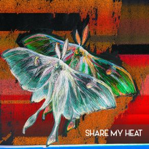 Download track Share My Heat (Radio Edit) The Joy Formidable