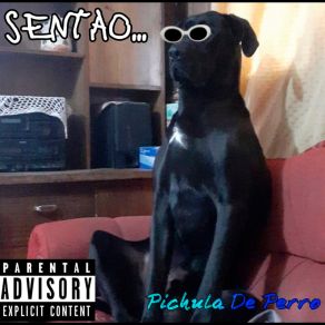 Download track Cualquier Estupides Pichula De Perro