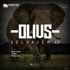 Download track Tribe Life (Original Mix) Olivs