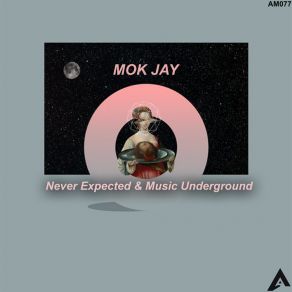 Download track Never Expected (Da Lex DJ Remix) Mok JayDJ Remix, Da Lex Dj