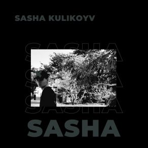 Download track Jimmy Neutron Sasha Kulikoyv