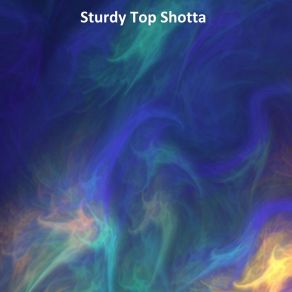 Download track Sturdy Top Shotta (Speed Up Remix) Bob Tik