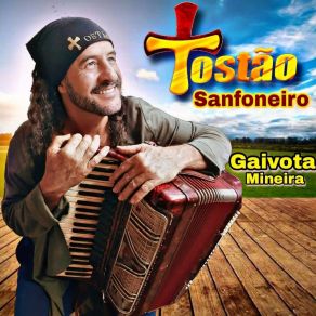 Download track Tres Amigos No Chamamé Tostão Sanfoneiro