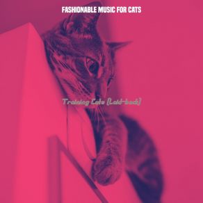 Download track Cheerful - Music Fashionable Music For Cats