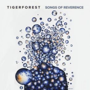 Download track Sea Watch Tigerforest