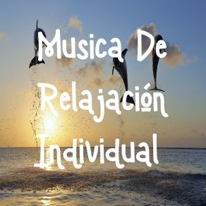 Download track Musica De Sueños Musica De Relajación Individual