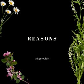 Download track Reasons EgmoolahTravo, Reckmond