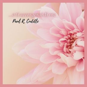 Download track Canzone Per Un Natale Di Pace Paul R. Cuddle