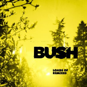 Download track The Sound Of Winter (Junior Sanchez Remix) Bush