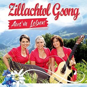 Download track Und S'Dirndl Geht Um's Holz An Wald Zillachtol Gsong