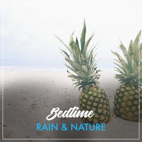 Download track Gentle Ocean Birds Play Raining AmbienceRelaxation, Nature Sounds For Sleep, Sea Ambience