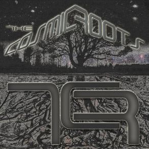 Download track This Life The Cosmic Roots