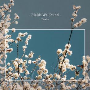 Download track Give Fields We Found