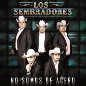 Download track No Somos De Acero (Album Version) Los Sembradores