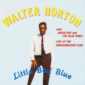 Download track Walter's Shuffle The Bluetones, Sugar Ray, Walter Horton, Ronnie Earl