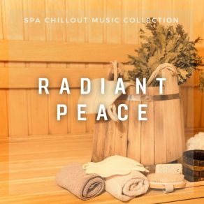 Download track Serene Rain Spa Chillout Music Artists