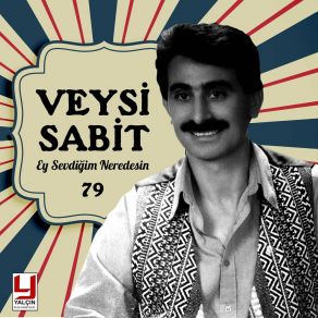 Download track Diyarbakır Bumudur Veysi Sabit