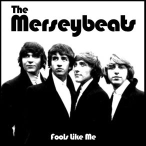 Download track Don't Let It Happen To Us The Merseybeats