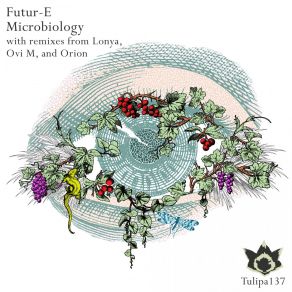 Download track Microbiology (Original Mix) Future