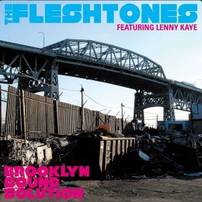 Download track Back Beat # 1 Lenny Kaye, The Fleshtones