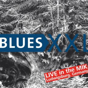 Download track I Play The Blues For You XXL Blues