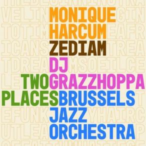 Download track Leap Of Faith Brussels Jazz OrchestraMonique Harcum