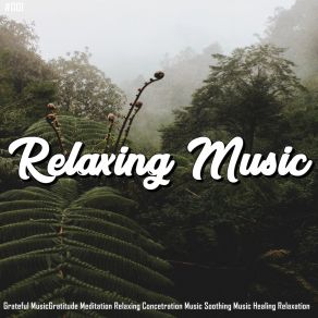 Download track Powerful Relaxing Sounds Lullabies For Deep Meditation