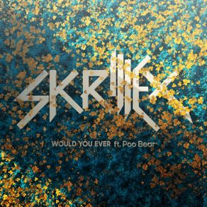 Download track Would You Ever Skrillex, Pooh Bear