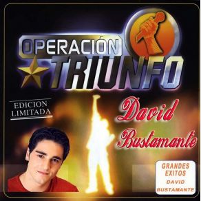 Download track Un Mundo Ideal Chayanne, David Bustamante