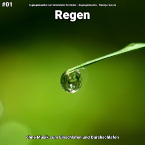 Download track Regen, Pt. 47 Naturgeräusche