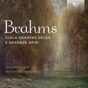 Download track 2 Gesänge, Op. 91: I. Gestillte Sehnsucht Sara Mingardo, Luca Sanzò, Maurizio Paciariello