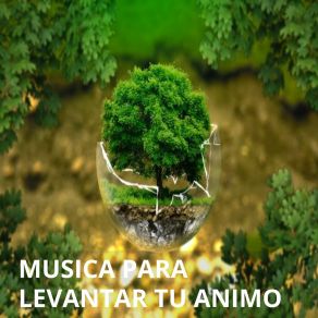 Download track Mente Positiva Levantando Tu Animo