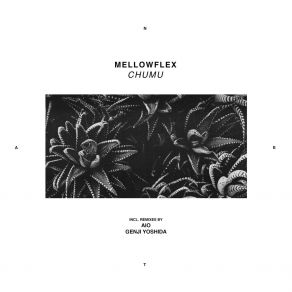 Download track Chumu (Genji Yoshida Remix) MellowflexGenji Yoshida