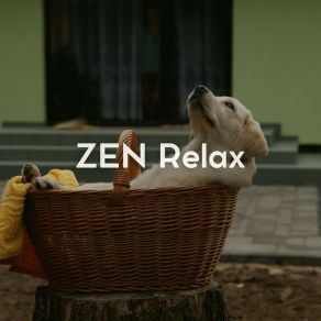 Download track For A Better Future ZenLifeRelax