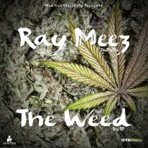 Download track Boss Up Ray Meez