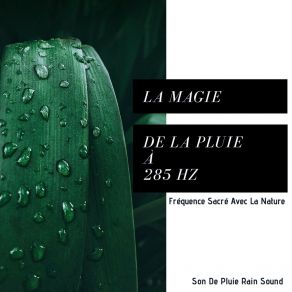 Download track Un Piano Sous La Pluie (Une Musique De Son De Pluie Pour Se Détendre) Son De Pluie Rain Sound