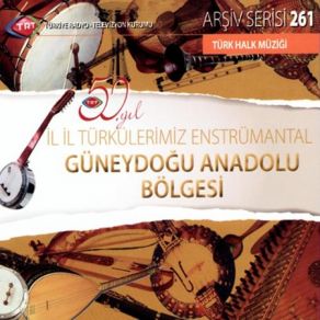 Download track Gidiyorum Ağlama TRT Saz Sanatçıları