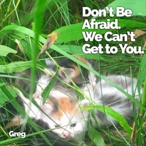 Download track Don't Be Afraid. We Can't Get To You. The Greg